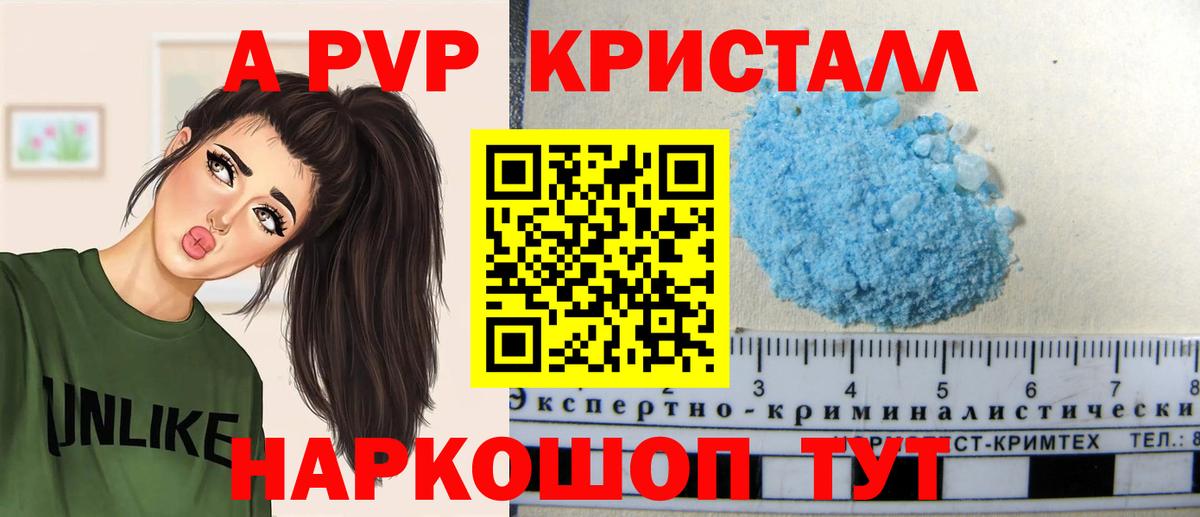 A PVP СК КРИС Гагарин