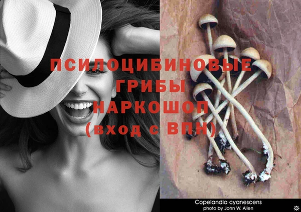 прущие крисы Барнаул