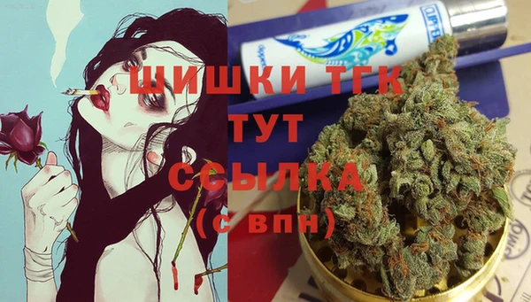 шишки Верея