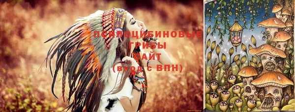 2c-b Беломорск