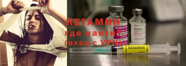 шишки Ессентукская