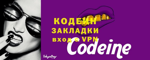 шишки Ессентукская