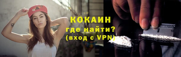 шишки Ессентукская