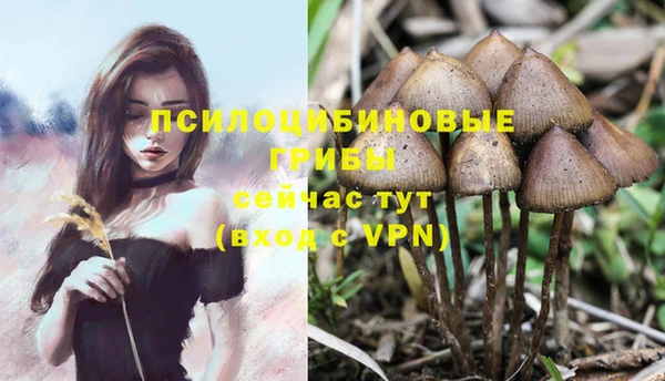 скорость Новосибирск
