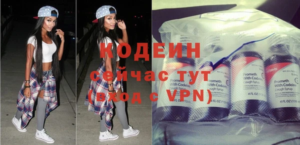 шишки Ессентукская