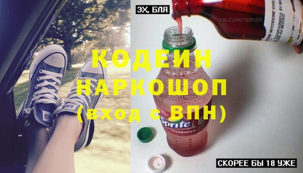 шишки Ессентукская