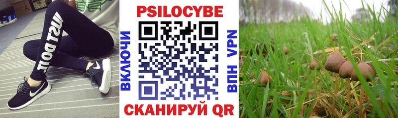 Галлюциногенные грибы MAGIC MUSHROOMS кракен ссылки Гагарин