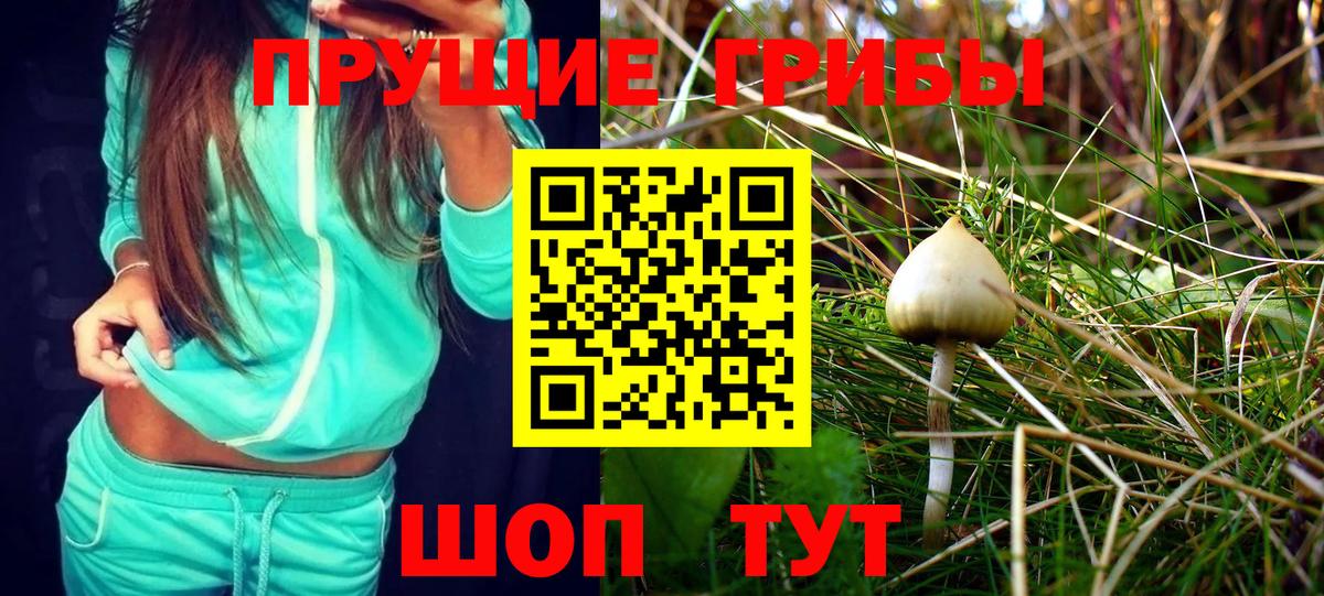 как найти   Галлюциногенные грибы MAGIC MUSHROOMS  Вход с VPN  Гагарин 