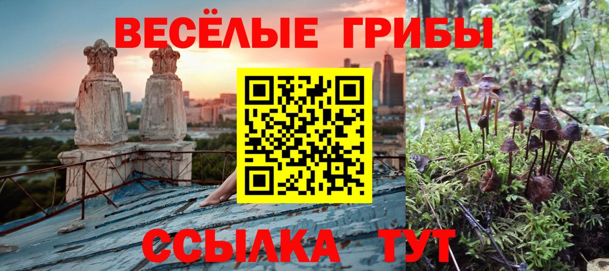 Галлюциногенные грибы Cubensis Гагарин