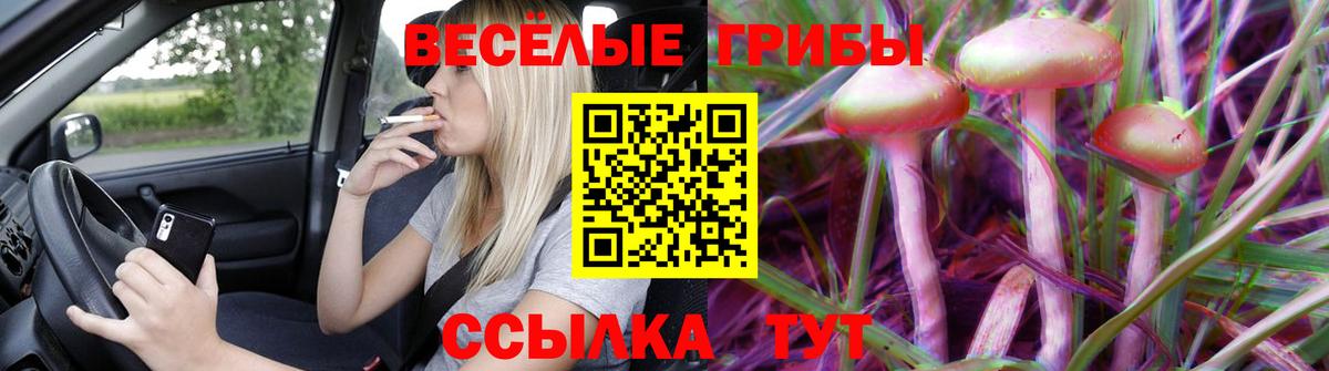 Псилоцибиновые грибы ЛСД Гагарин